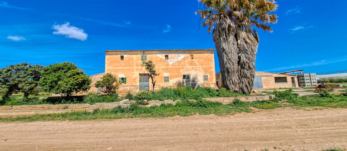 Zu-verkaufen-große-Finca-mit-traditionellem-Haus-Möglichkeit-zu-renovieren-und-Schwimmbad-zu-bauen-in-Manacor