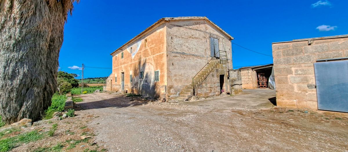 Zu-verkaufen-große-Finca-mit-traditionellem-Haus-Möglichkeit-zu-renovieren-und-Schwimmbad-zu-bauen-in-Manacor