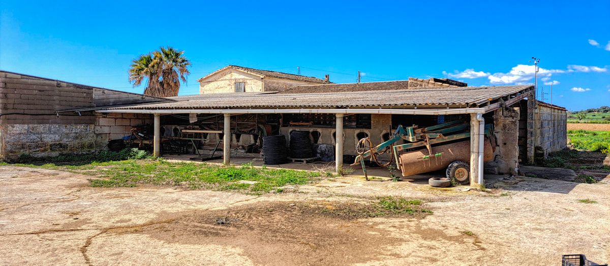 Zu-verkaufen-große-Finca-mit-traditionellem-Haus-Möglichkeit-zu-renovieren-und-Schwimmbad-zu-bauen-in-Manacor
