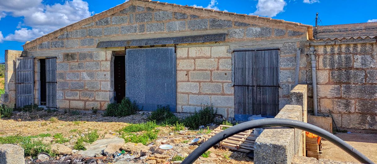Zu-verkaufen-große-Finca-mit-traditionellem-Haus-Möglichkeit-zu-renovieren-und-Schwimmbad-zu-bauen-in-Manacor