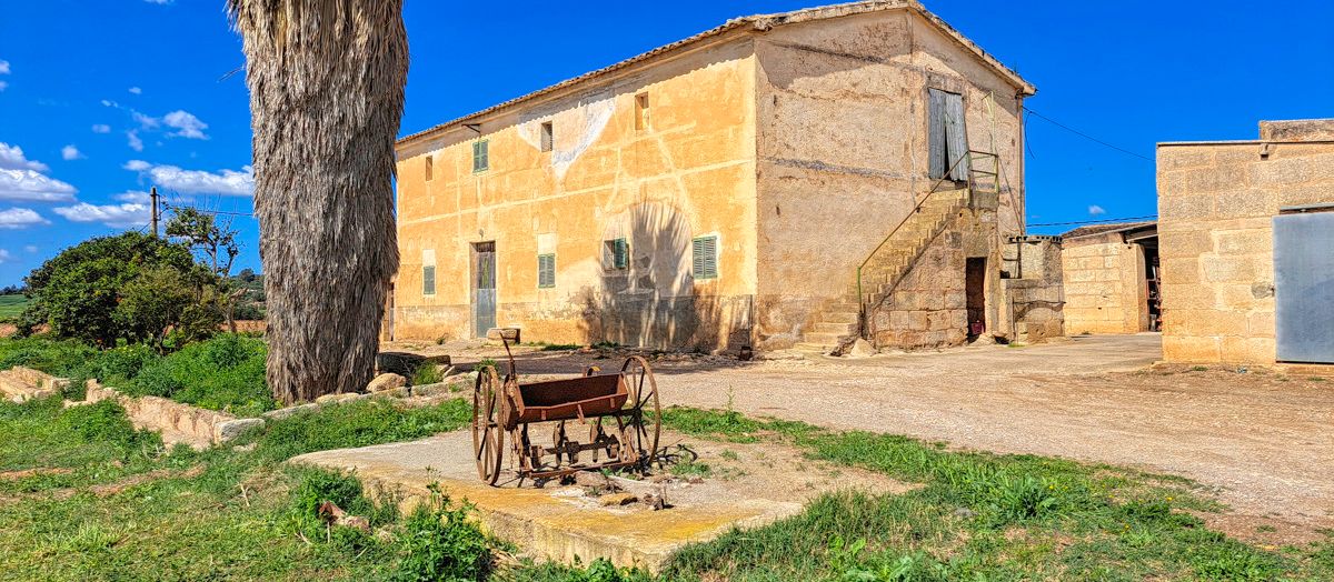 Zu-verkaufen-große-Finca-mit-traditionellem-Haus-Möglichkeit-zu-renovieren-und-Schwimmbad-zu-bauen-in-Manacor