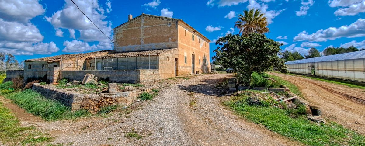Zu-verkaufen-große-Finca-mit-traditionellem-Haus-Möglichkeit-zu-renovieren-und-Schwimmbad-zu-bauen-in-Manacor