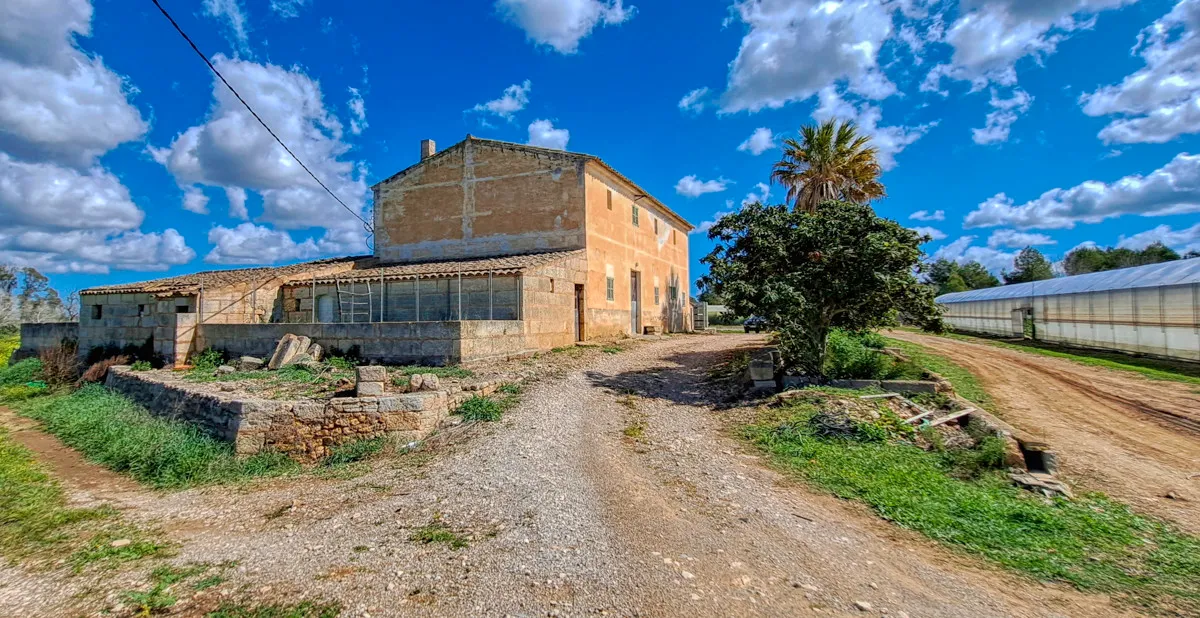 For-sale-large-finca-with-traditionalhouse-possibility-to-renovate-and-build-swimming-pool-in-Manacor