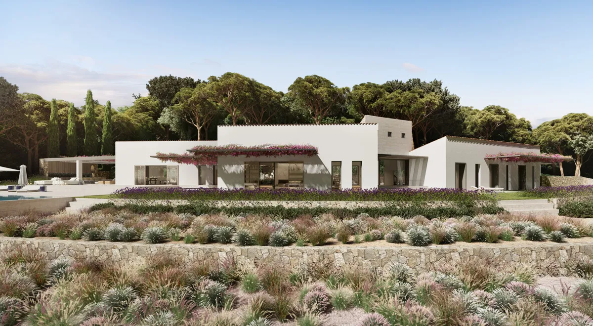 Planting and view of the house