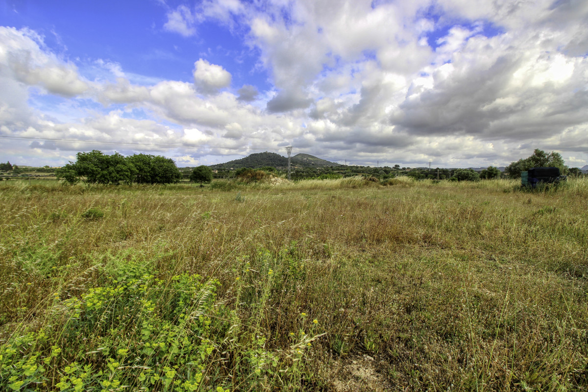 En-venta-finca-con-pozo-proyecto-aceptado-para-construir-casa-y-piscina-en-Manacor