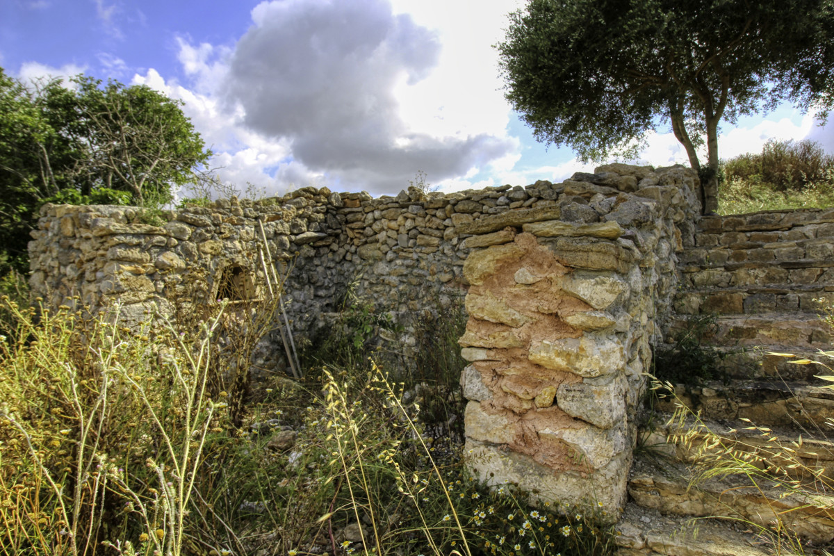 En-venta-finca-con-pozo-proyecto-aceptado-para-construir-casa-y-piscina-en-Manacor