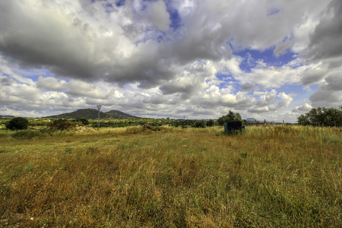 En-venta-finca-con-pozo-proyecto-aceptado-para-construir-casa-y-piscina-en-Manacor