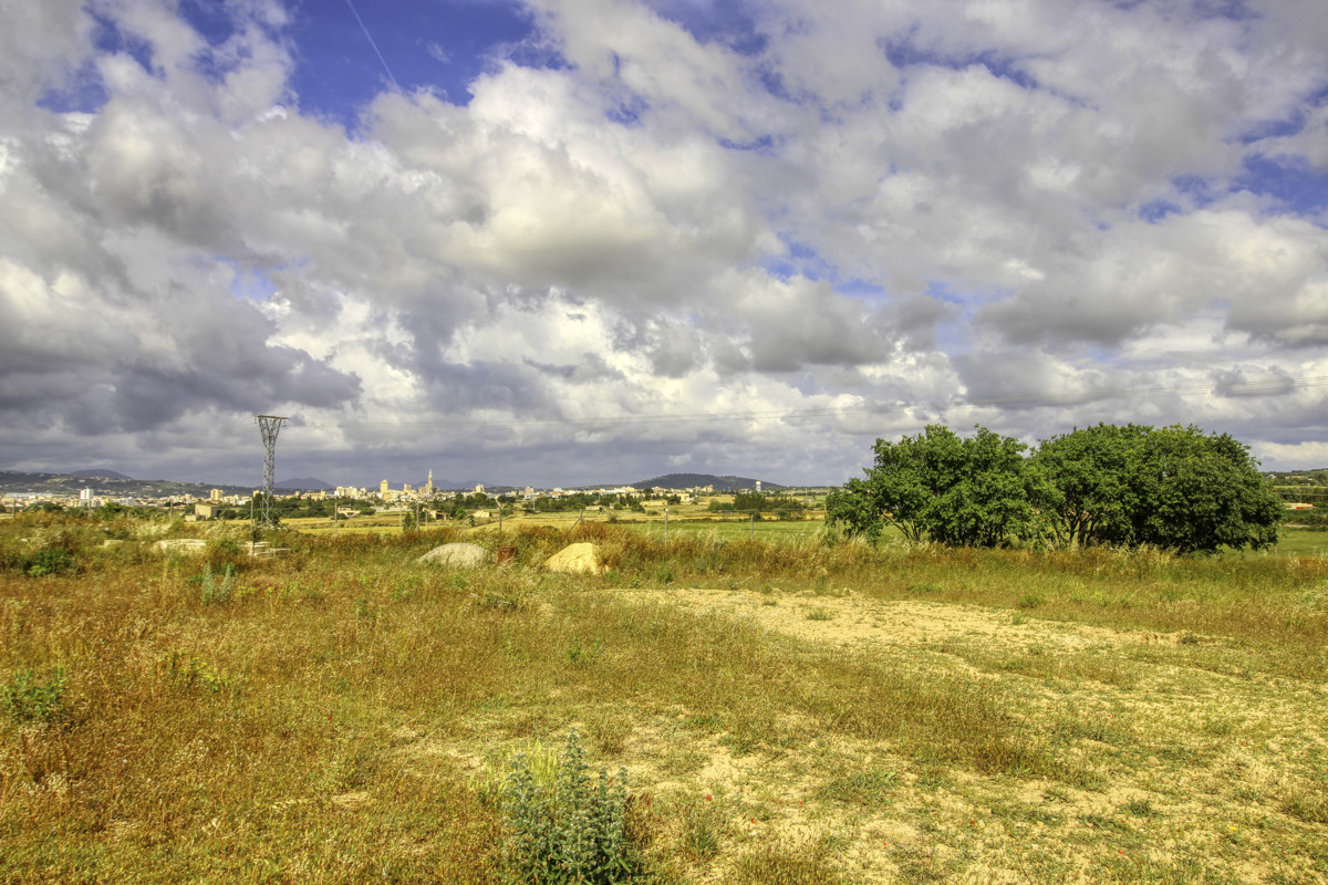 En-venta-finca-con-pozo-proyecto-aceptado-para-construir-casa-y-piscina-en-Manacor