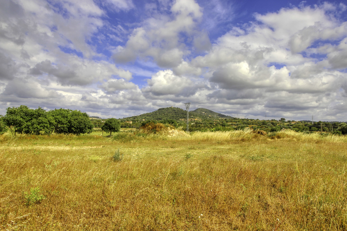 En-venta-finca-con-pozo-proyecto-aceptado-para-construir-casa-y-piscina-en-Manacor