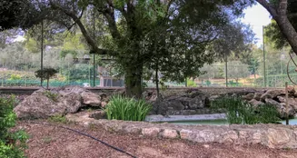 von_poll_real_estate_property_ES234444_image_11