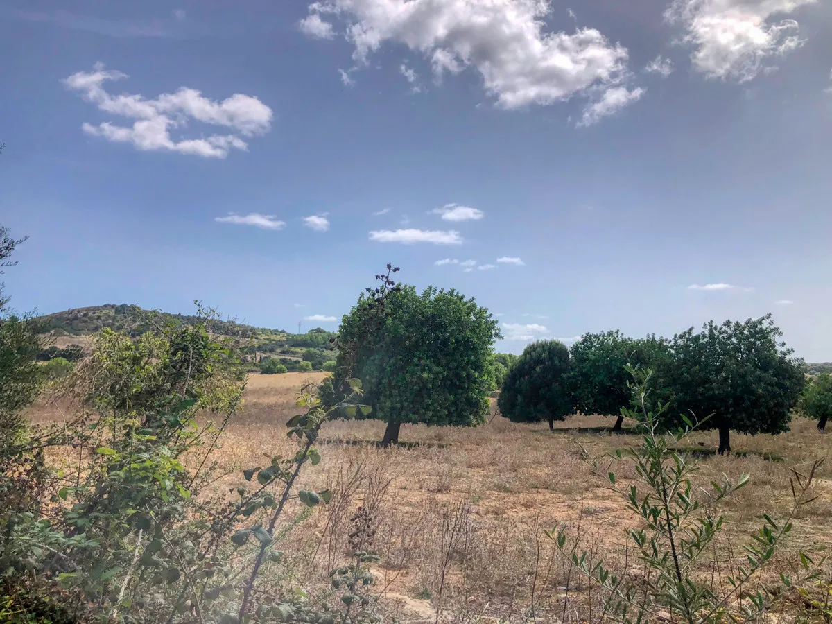 Historic-finca-with-swimming-pool-and-tennis-court-very-close-to-the-Llorencina-coast