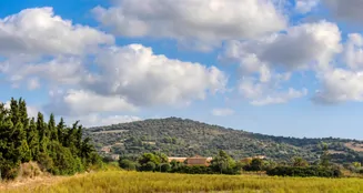 von_poll_real_estate_property_ES234444_image_16