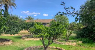 von_poll_real_estate_property_ES234444_image_10