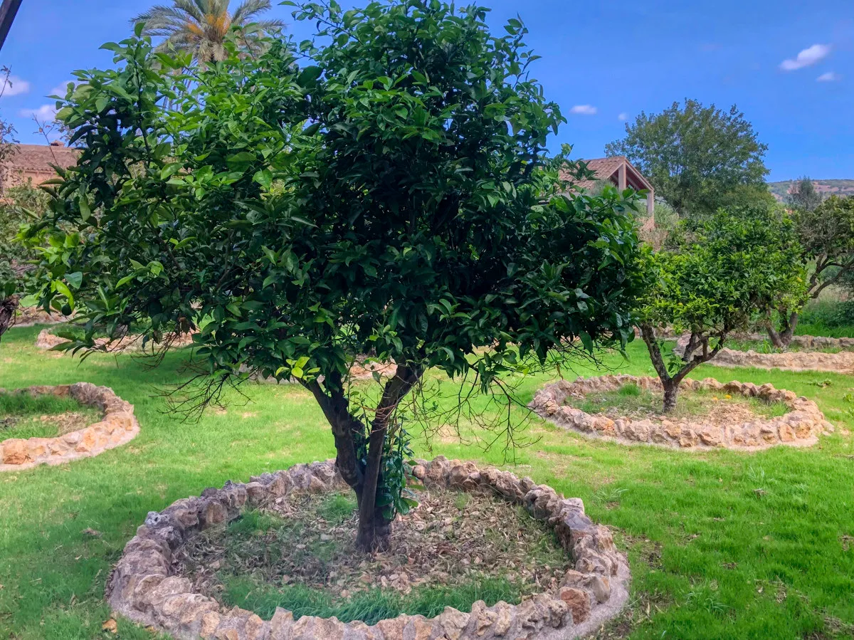 Historic-finca-with-swimming-pool-and-tennis-court-very-close-to-the-Llorencina-coast