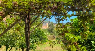 von_poll_real_estate_property_ES234444_image_5