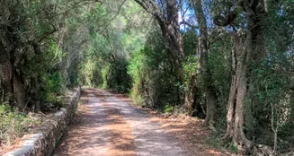 von_poll_real_estate_property_ES234444_image_13