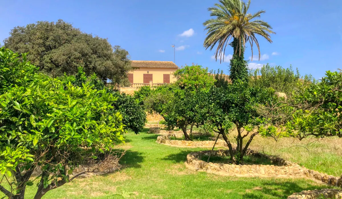 Historische-Finca-mit-Schwimmbad-und-Tennisplatz-ganz-in-der-Nähe-der-Küste-von-Llorencina