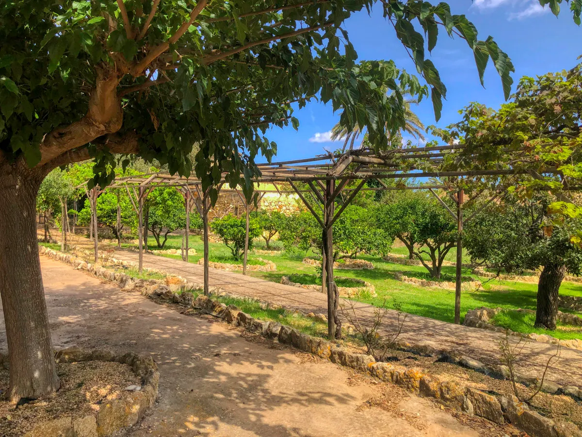 Historic-finca-with-swimming-pool-and-tennis-court-very-close-to-the-Llorencina-coast