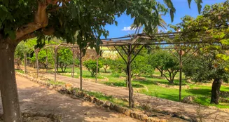 von_poll_real_estate_property_ES234444_image_4