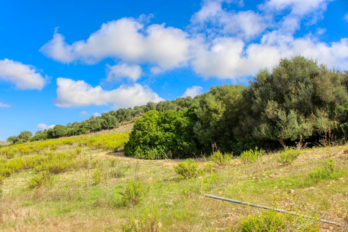 Historic-finca-with-swimming-pool-and-tennis-court-very-close-to-the-Llorencina-coast