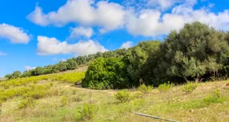 von_poll_real_estate_property_ES234444_image_21