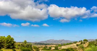 von_poll_real_estate_property_ES234444_image_22