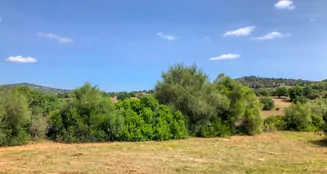 von_poll_real_estate_property_ES234444_image_18