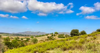 von_poll_real_estate_property_ES234444_image_0