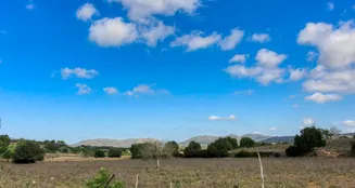 von_poll_real_estate_property_ES234444_image_17