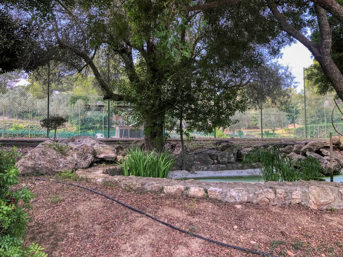 Histórica-finca-con-piscina-y-pista-de-tenis-bien-situada-muy-cerca-de-la-costa-Llorencina
