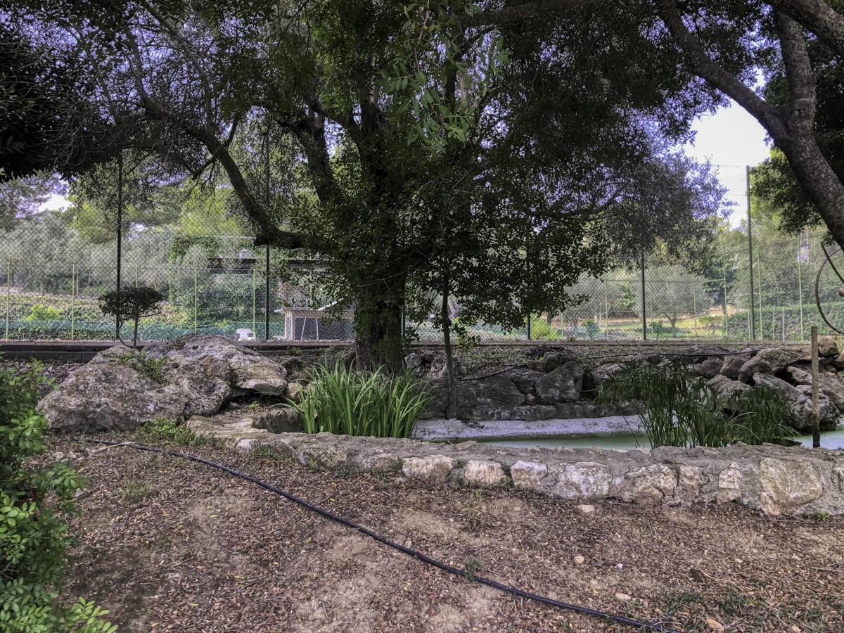 Histórica-finca-con-piscina-y-pista-de-tenis-bien-situada-muy-cerca-de-la-costa-Llorencina