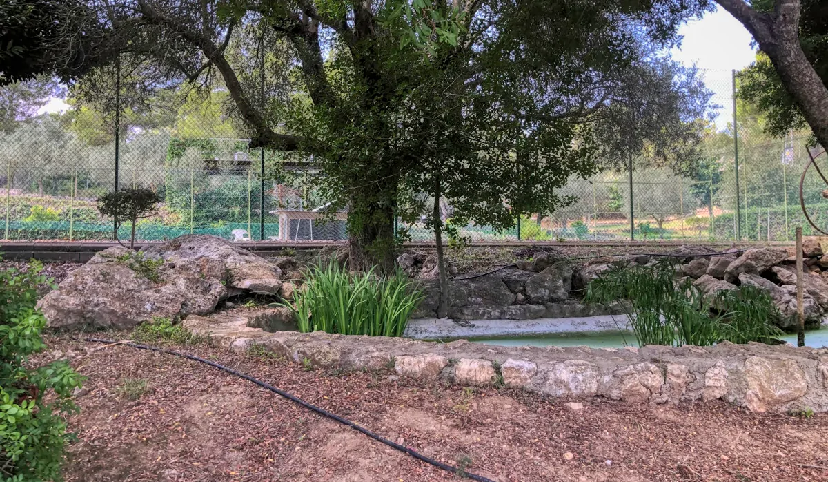 Histórica-finca-con-piscina-y-pista-de-tenis-bien-situada-muy-cerca-de-la-costa-Llorencina