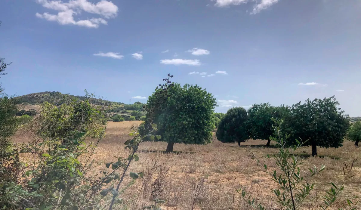 Histórica-finca-con-piscina-y-pista-de-tenis-bien-situada-muy-cerca-de-la-costa-Llorencina
