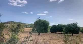 von_poll_real_estate_property_ES234444_image_42