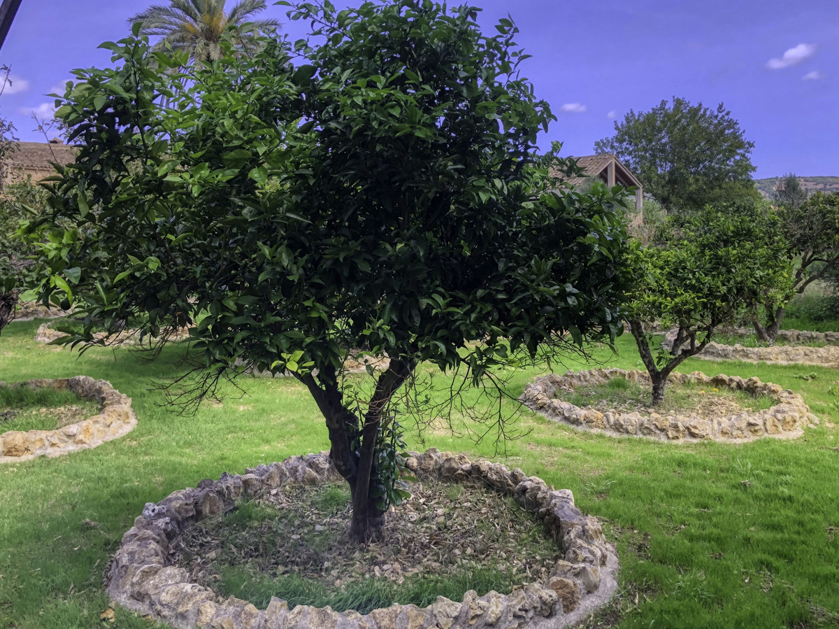 Histórica-finca-con-piscina-y-pista-de-tenis-bien-situada-muy-cerca-de-la-costa-Llorencina