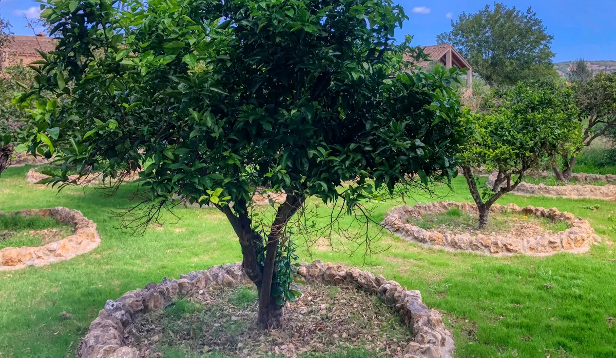 Histórica-finca-con-piscina-y-pista-de-tenis-bien-situada-muy-cerca-de-la-costa-Llorencina