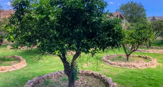 von_poll_real_estate_property_ES234444_image_37