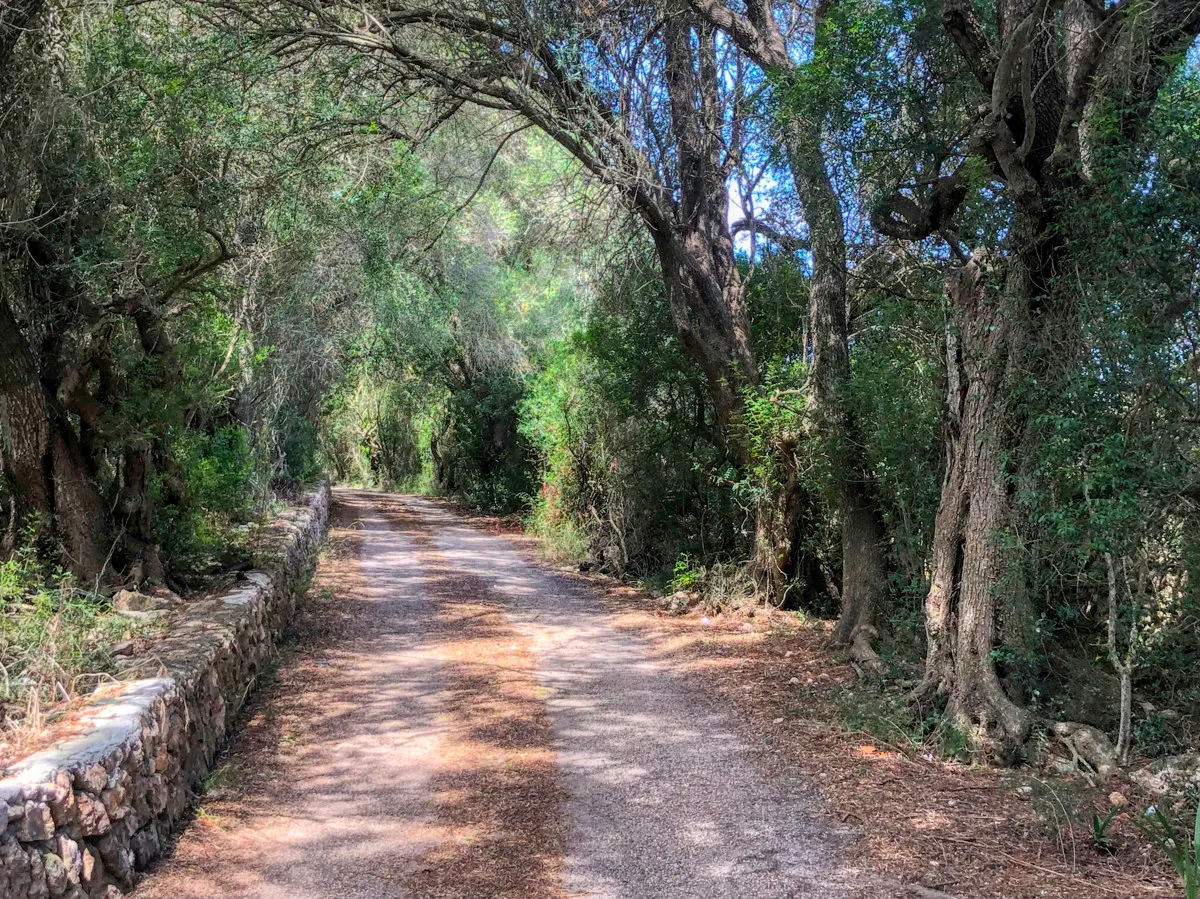 Histórica-finca-con-piscina-y-pista-de-tenis-bien-situada-muy-cerca-de-la-costa-Llorencina