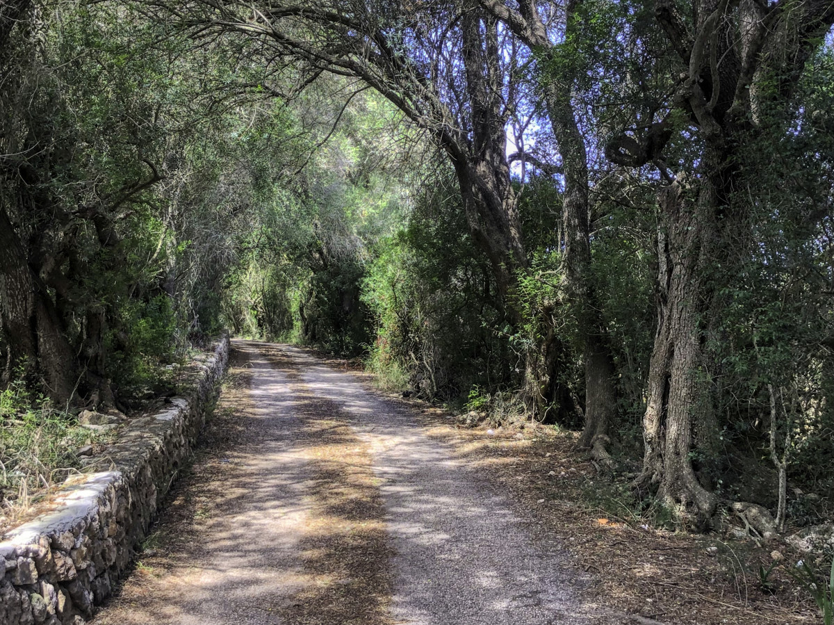 Histórica-finca-con-piscina-y-pista-de-tenis-bien-situada-muy-cerca-de-la-costa-Llorencina