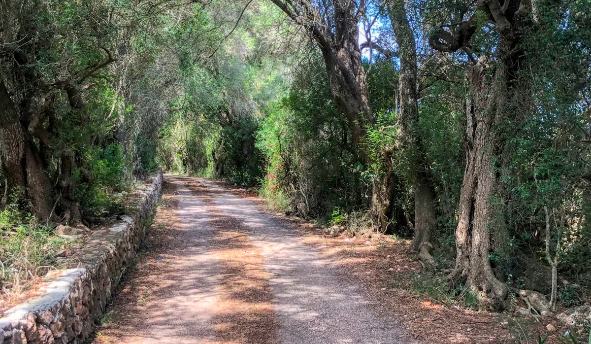 Histórica-finca-con-piscina-y-pista-de-tenis-bien-situada-muy-cerca-de-la-costa-Llorencina