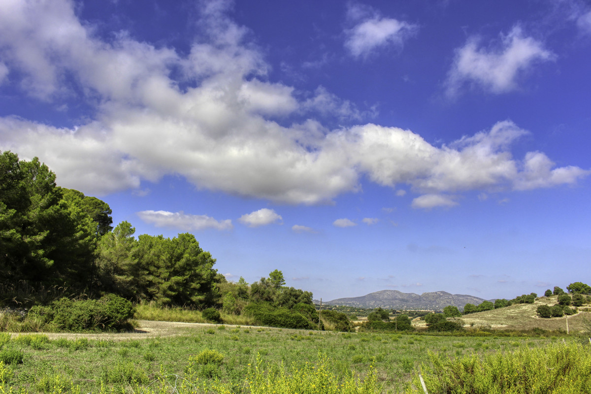 Histórica-finca-con-piscina-y-pista-de-tenis-bien-situada-muy-cerca-de-la-costa-Llorencina