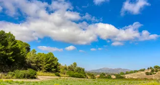 von_poll_real_estate_property_ES234444_image_43