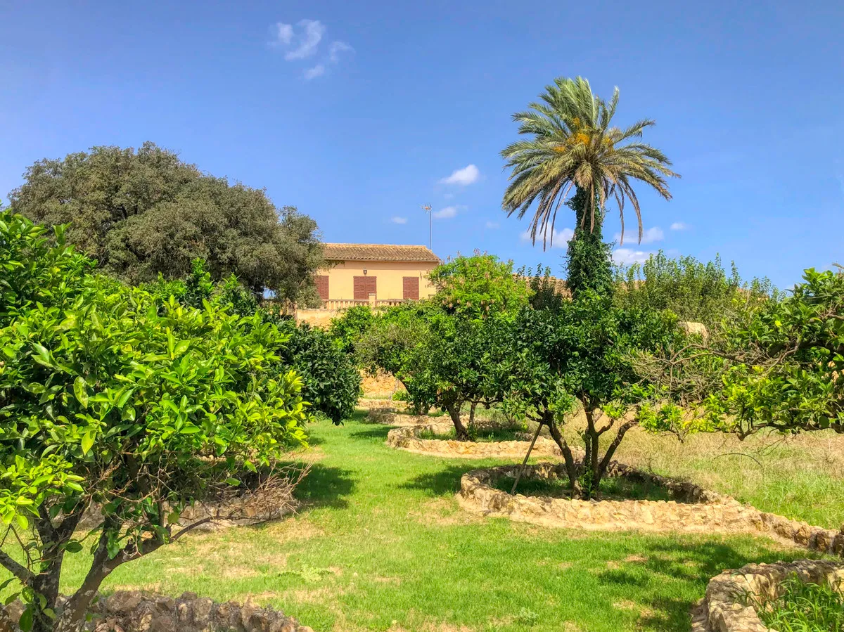 Histórica-finca-con-piscina-y-pista-de-tenis-bien-situada-muy-cerca-de-la-costa-Llorencina