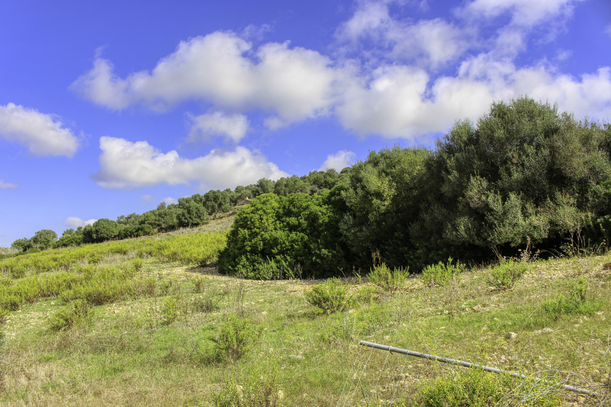 Histórica-finca-con-piscina-y-pista-de-tenis-bien-situada-muy-cerca-de-la-costa-Llorencina