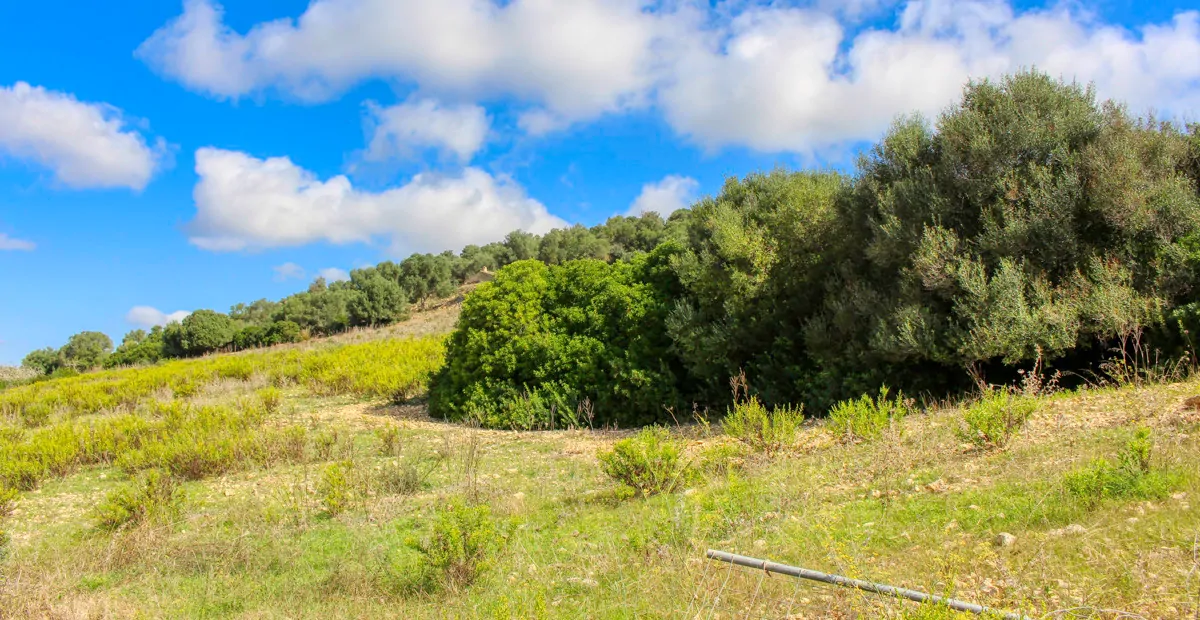 Histórica-finca-con-piscina-y-pista-de-tenis-bien-situada-muy-cerca-de-la-costa-Llorencina