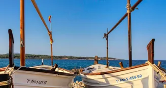 von_poll_real_estate_property_ES234444_image_54