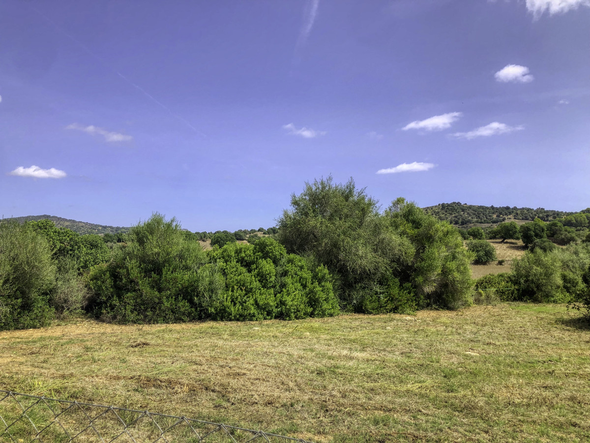 Histórica-finca-con-piscina-y-pista-de-tenis-bien-situada-muy-cerca-de-la-costa-Llorencina