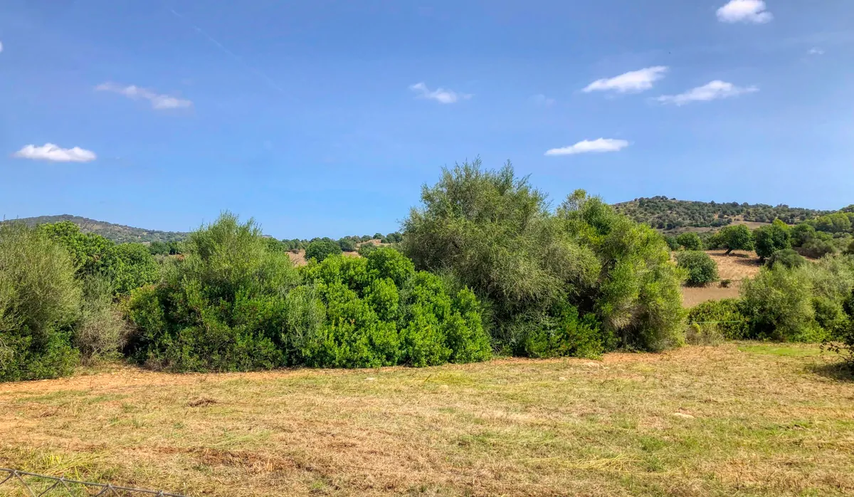 Histórica-finca-con-piscina-y-pista-de-tenis-bien-situada-muy-cerca-de-la-costa-Llorencina