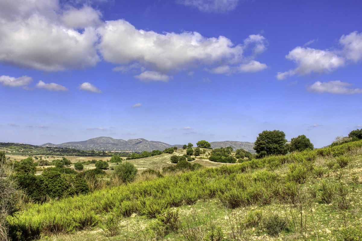 Histórica-finca-con-piscina-y-pista-de-tenis-bien-situada-muy-cerca-de-la-costa-Llorencina