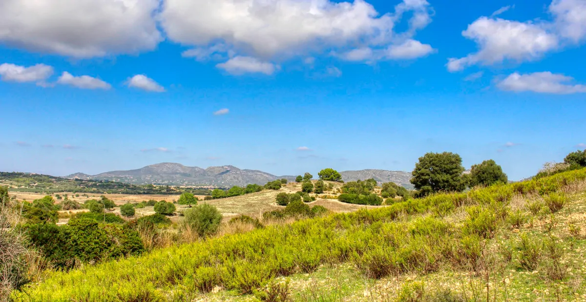Histórica-finca-con-piscina-y-pista-de-tenis-bien-situada-muy-cerca-de-la-costa-Llorencina